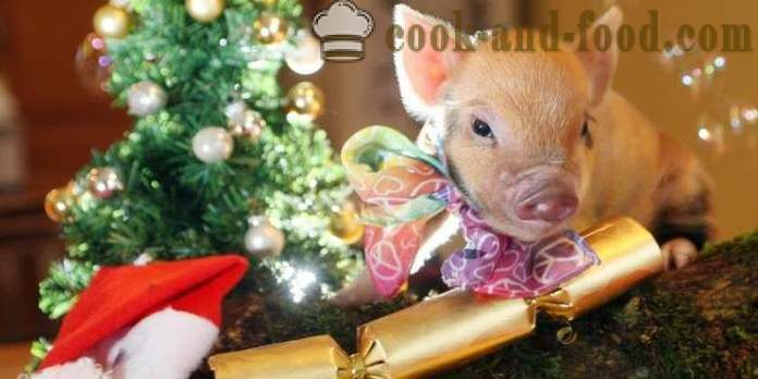 Vienkāršas receptes Jaungada 2019- ko gatavot Jaunais gads 2019 gads Pig (mežacūkas)