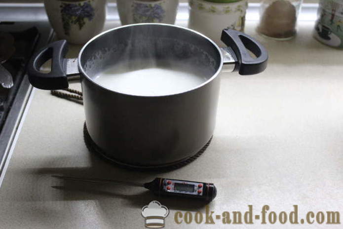 Pašdarināts jogurts no piena rūgt - kā padarīt jogurtu mājās, soli pa solim recepšu fotogrāfijas