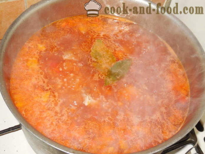 Diētiskās zupa buljons tītara ar dārzeņiem - kā pagatavot gardu tītara zupa, soli pa solim recepšu fotogrāfijas