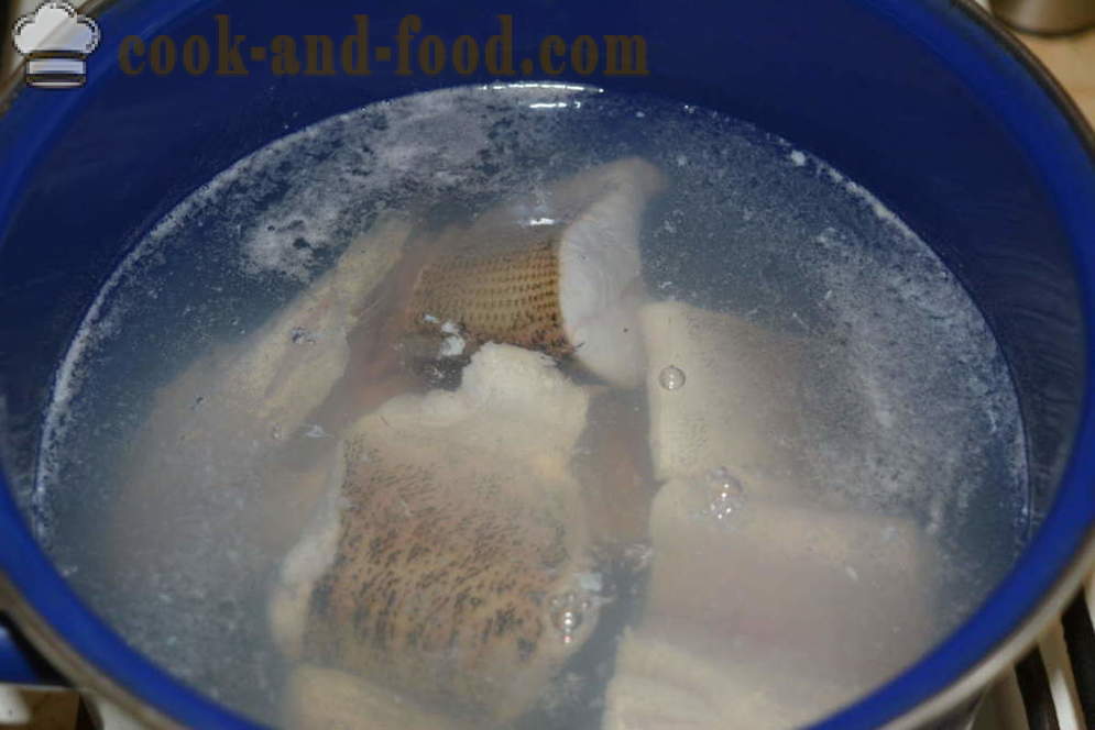 Delicious zupa no līdakas mājās - kā gatavot zivju zupu no līdaku, soli pa solim recepšu fotogrāfijas