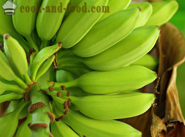 Banana: Āfrikas un Āzijas deserts zupa - video receptes mājās